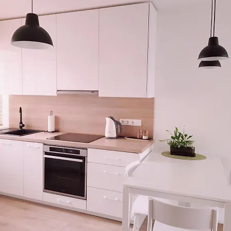New City Center Apartments Druskininkai Exterior photo